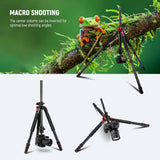NEEWER 72.4'' Aluminium Alloy Camera Monopod Tripod