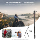 NEEWER 77'' TP77 Aluminum Alloy Camera Monopod Tripod