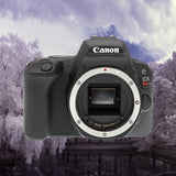Full Spectrum DSLR Canon EOS Rebel SL2 / 200D Camera Body - Used
